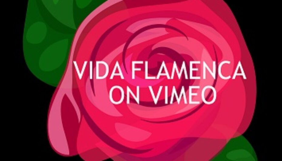 Vida Flamenca on VIMEO!