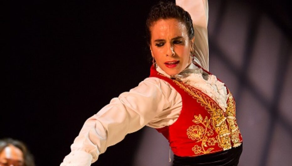 Vida Flamenca Newsletter!