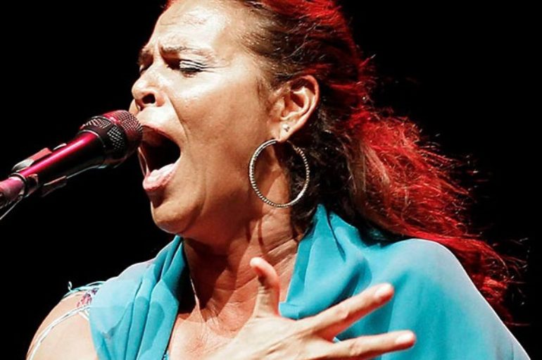Vida Flamenca Newsletter / November 12 / Nourish your Soul!