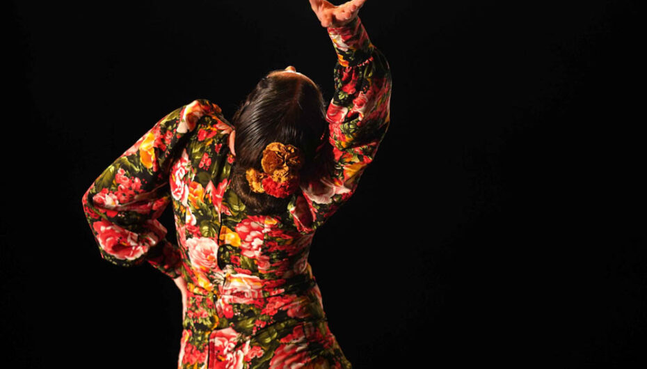 Concurso Nacional de Arte Flamenco de Córdoba. Fase opción a premio IV