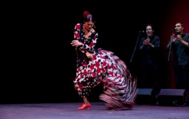 Flamenco con Lakshmi Basile “La Chimi” * Feb.-March 2021