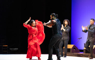 Xiª Festival: ‘Cumbre Flamenca’ 2022 — an astonishing success