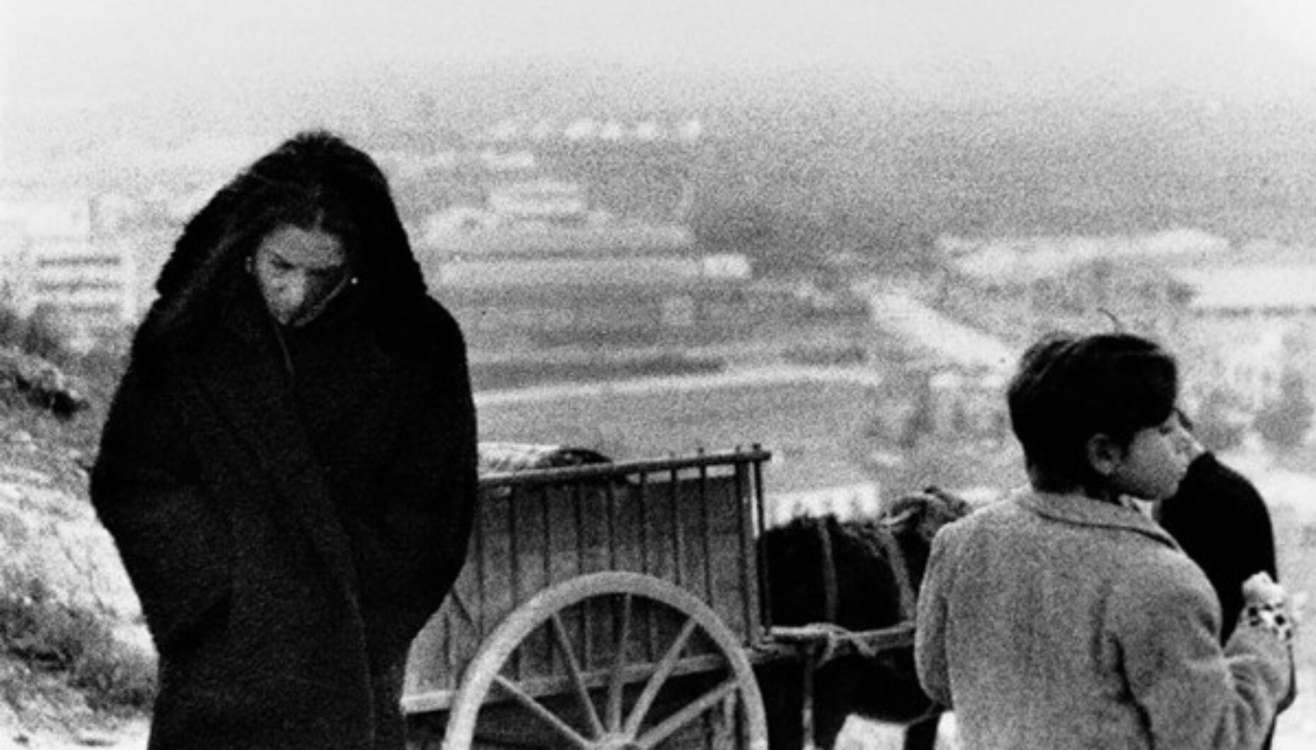 Los Tarantos National Gallery, D.C. Vida Flamenca