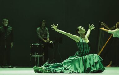 Flamenco Festival de Nîmes