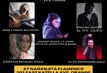 Tablao Show at Naranjita Flamenco in Orange, CA + More!