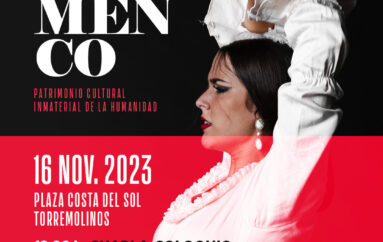 Día Internacional del Flamenco, 16 de Nov