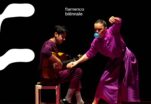 IX Flamenco Biënnale | Part 2