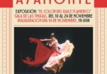 “El color del baile flamenco”, Fotografías de Paco Sánchez