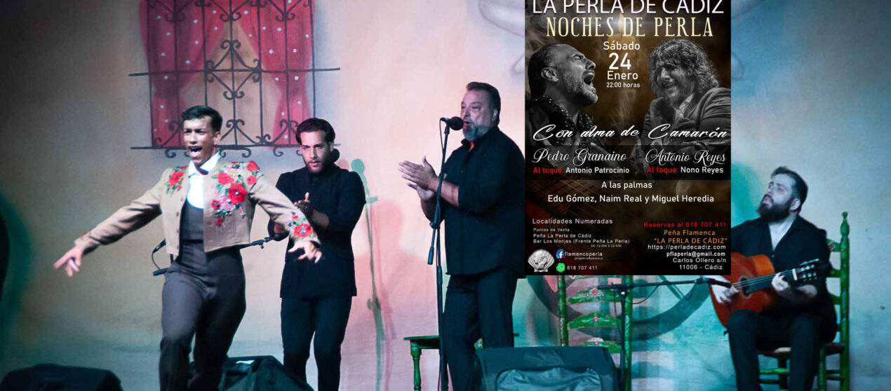Peña Flamenca LA PERLA DE CÁDIZ * ‘Noches de Perla’ 2025/26