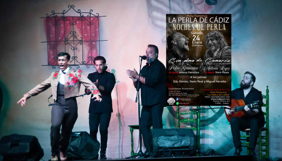 Peña Flamenca LA PERLA DE CÁDIZ * ‘Noches de Perla’ 2025/26
