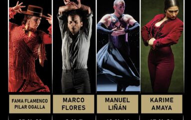 2026 Veranos Flamencos en la cuna del flamenco: Jerez