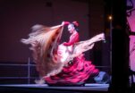 Peña Flamenca la Perla de Cádiz * ‘Noches de Perla’ * 7 y 8 de Agosto